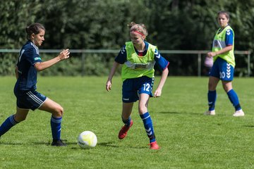 Bild 309 - B-Juniorinnen VfL Pinneberg - HSV : Ergebnis: 1:4